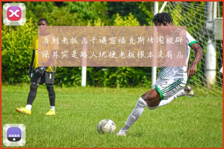 马刺老板儿子逼宫福克斯传闻被辟谣其实是路人玩梗老板根本没有儿子